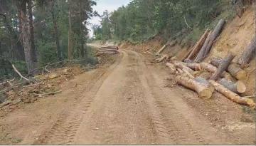 Karasu, Karalar Köyü’nde Kesilen Ağaçları TBMM Gündemine Taşıdı.