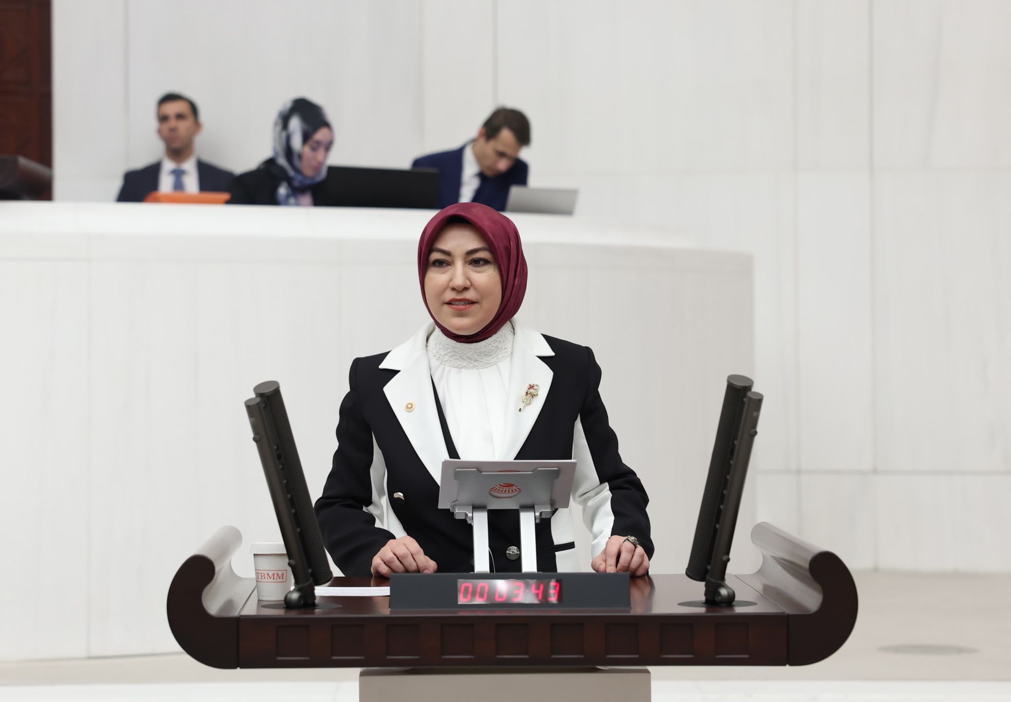 TBMM’de Aşık Veysel’i Konuştu